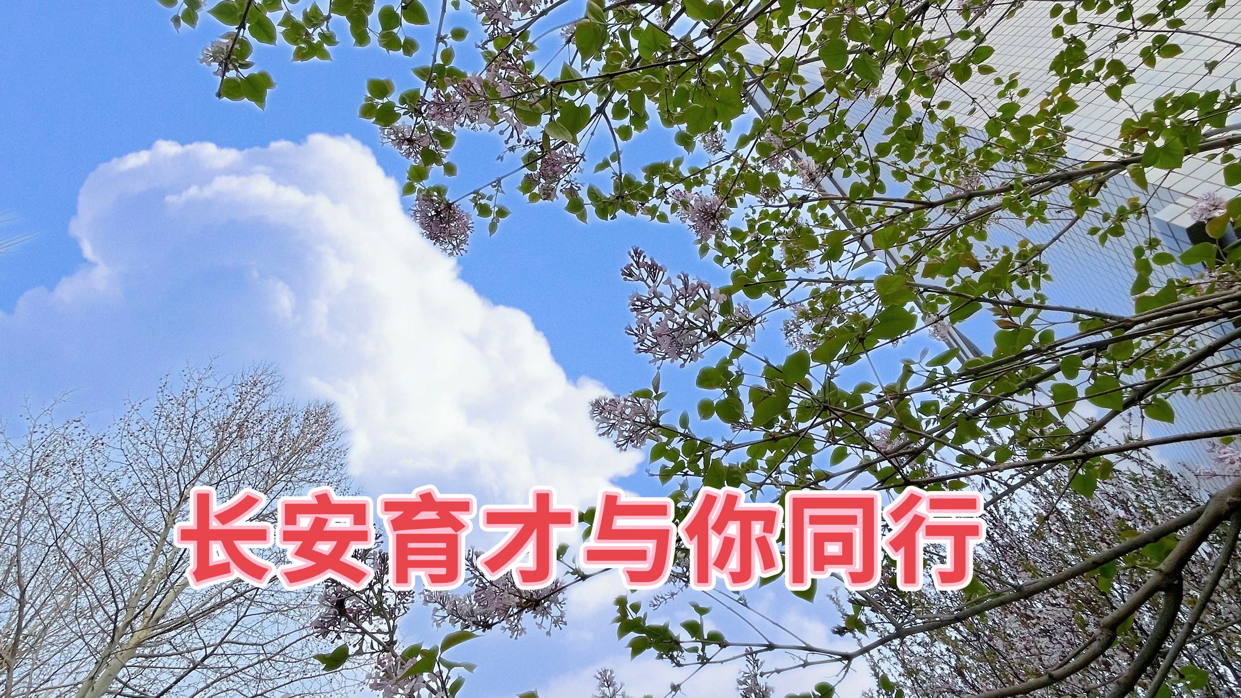 春分‖春日好時(shí)光，攜手共同行